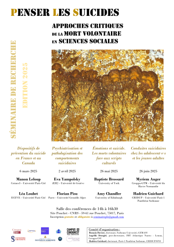 Penser Les Suicides. Approches critiques de la mort volontaire en sciences sociales